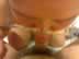 BLOWJOB 1 - 03052006.jpg (61,896 bytes)